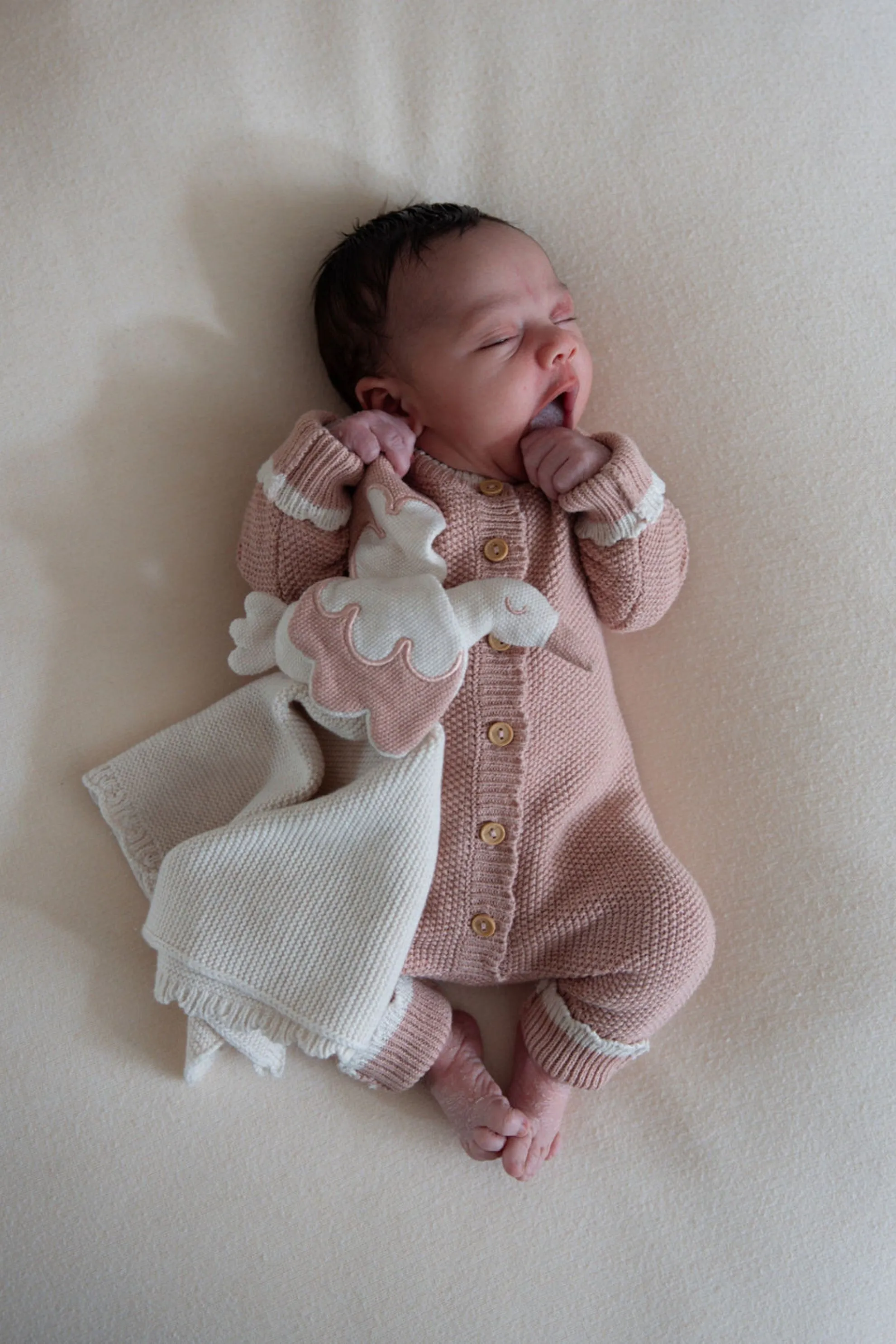 Organic Cotton Luxury Baby Stork Bundle - Rose